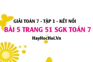 Giải bài 5 trang 51 Toán 7 Tập 1 SGK Cánh Diều